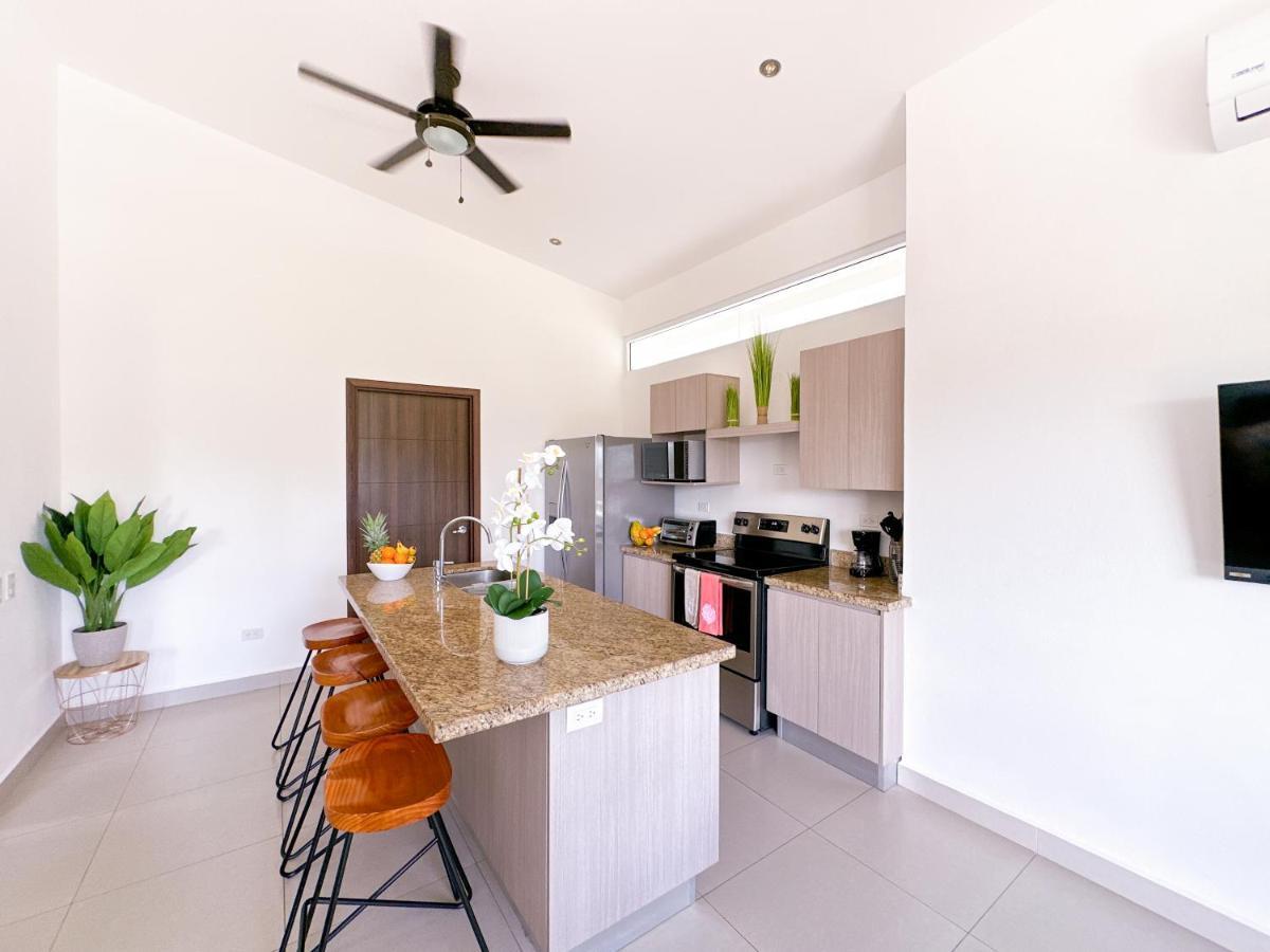 Pura Vida Apartment With Nice Pool Walking Distance To The Heart Of 哈科 外观 照片
